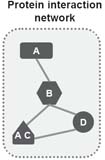 Protein Interaction Network